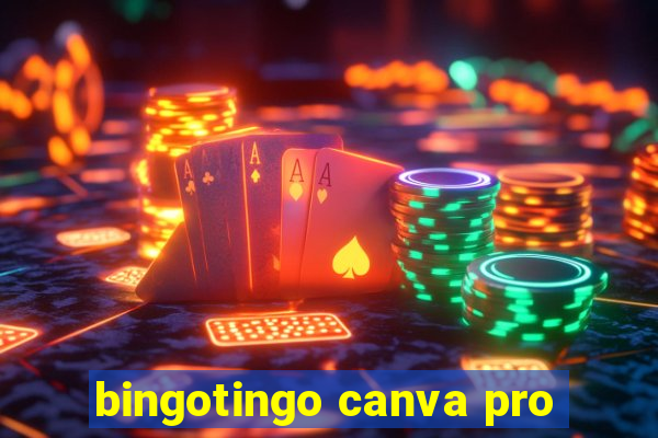 bingotingo canva pro